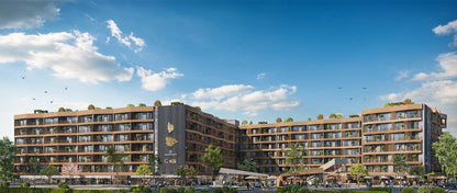 Mar Gyo G Hub